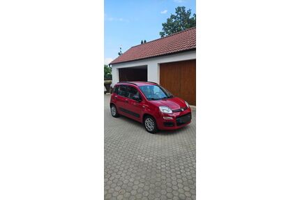 Fiat Panda Gebrauchtwagen
