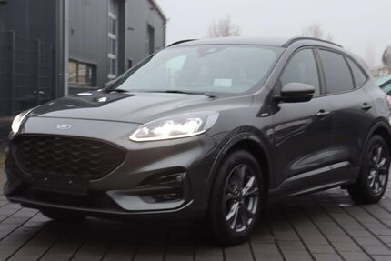 Ford Kuga Gebrauchtwagen