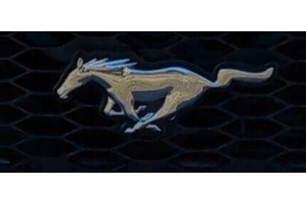 Ford Mustang Gebrauchtwagen