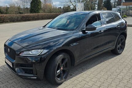 Jaguar F-Pace Gebrauchtwagen