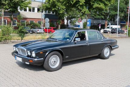Jaguar XJ12 Gebrauchtwagen