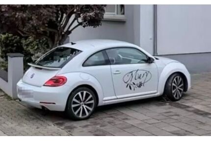 VW Beetle Gebrauchtwagen