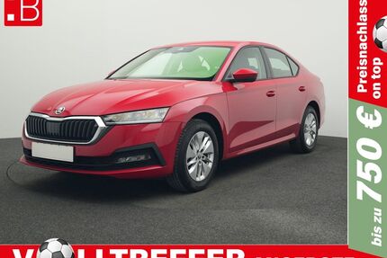 Skoda Octavia Gebrauchtwagen