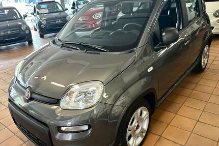 Fiat Panda Gebrauchtwagen