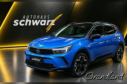 Opel Grandland (X) Gebrauchtwagen