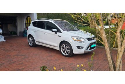 Ford Kuga Gebrauchtwagen