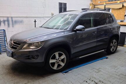 VW Tiguan Gebrauchtwagen