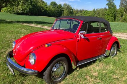 VW Käfer Gebrauchtwagen