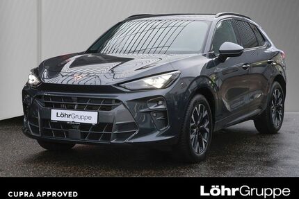 Cupra Terramar Gebrauchtwagen