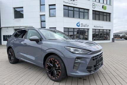 Cupra Terramar Gebrauchtwagen