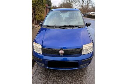 Fiat Panda Gebrauchtwagen