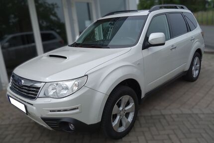 Subaru Forester Gebrauchtwagen