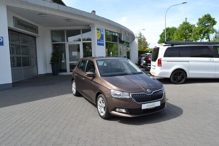 Skoda Fabia Gebrauchtwagen