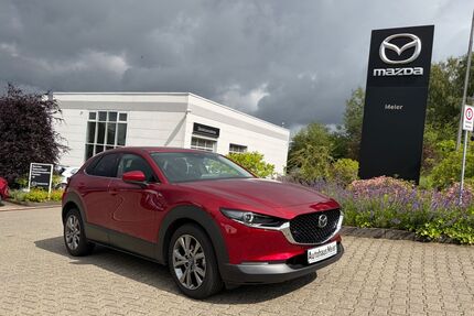 Mazda CX-30 Gebrauchtwagen