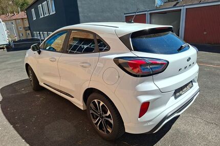 Ford Puma Gebrauchtwagen