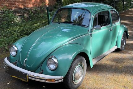 VW Käfer Gebrauchtwagen