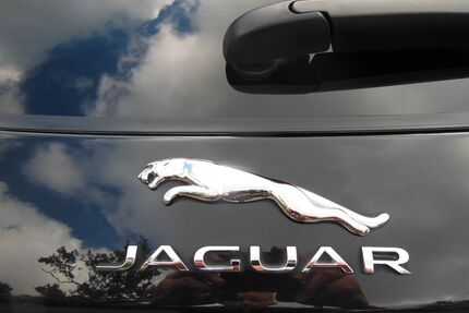 Jaguar E-Pace Gebrauchtwagen