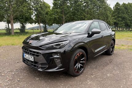 Cupra Terramar Gebrauchtwagen