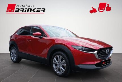 Mazda CX-30 Gebrauchtwagen