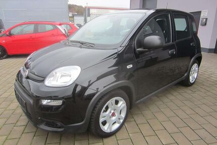 Fiat Panda Gebrauchtwagen