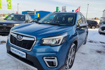 Subaru Forester Gebrauchtwagen