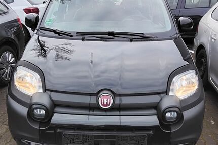Fiat Panda Gebrauchtwagen