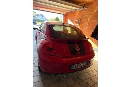 VW Beetle Gebrauchtwagen