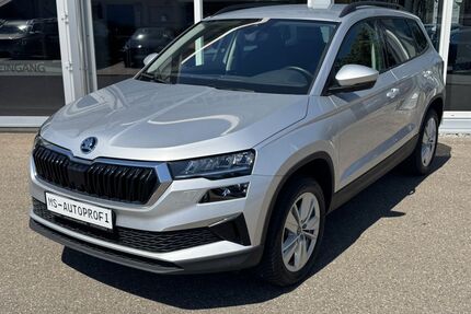 Skoda Karoq Gebrauchtwagen