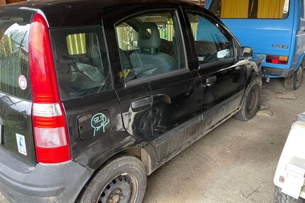 Fiat Panda Gebrauchtwagen
