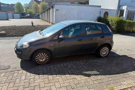 Fiat Punto Gebrauchtwagen