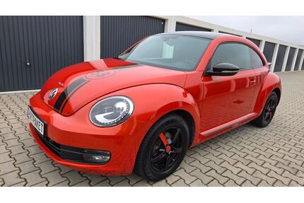 VW Beetle Gebrauchtwagen