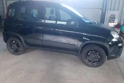 Fiat Panda Gebrauchtwagen