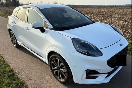 Ford Puma Gebrauchtwagen