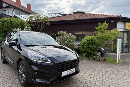 Ford Kuga Gebrauchtwagen