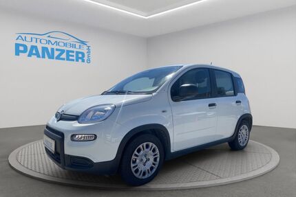 Fiat Panda Gebrauchtwagen