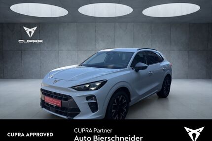Cupra Terramar Gebrauchtwagen