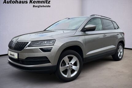 Skoda Karoq Gebrauchtwagen