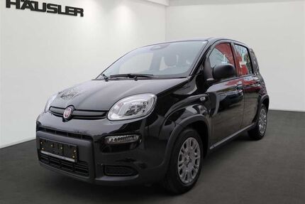 Fiat Panda Gebrauchtwagen