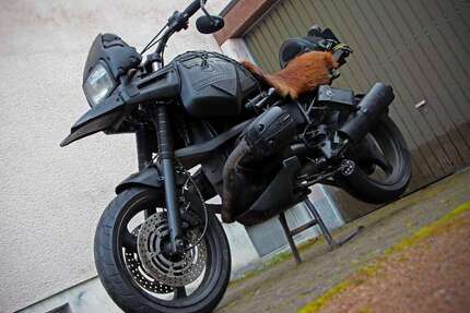 BMW R 1100 GS Gebrauchtwagen