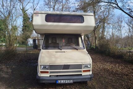 Fiat Ducato Gebrauchtwagen