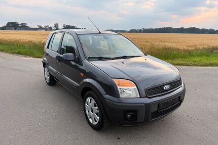 Ford Fusion Gebrauchtwagen