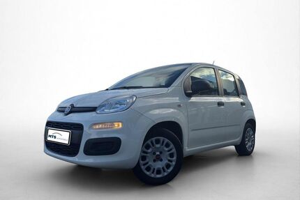 Fiat Panda Gebrauchtwagen