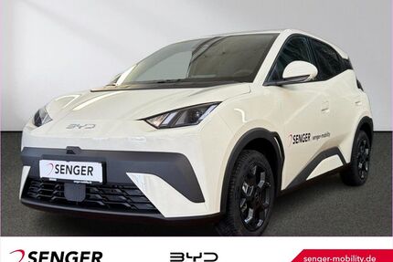 BYD DOLPHIN Gebrauchtwagen