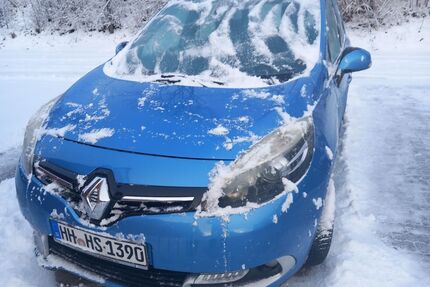 Renault Scenic Gebrauchtwagen
