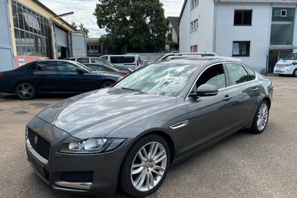 Jaguar XF Gebrauchtwagen