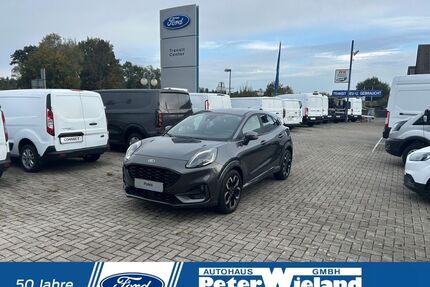 Ford Puma Gebrauchtwagen