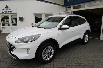 Ford Kuga Gebrauchtwagen