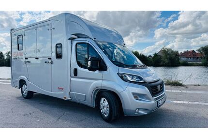 Fiat Ducato Gebrauchtwagen