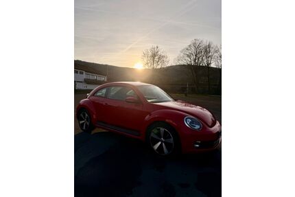 VW Beetle Gebrauchtwagen