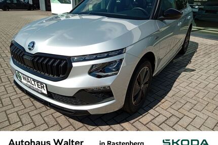 Skoda Kamiq Gebrauchtwagen